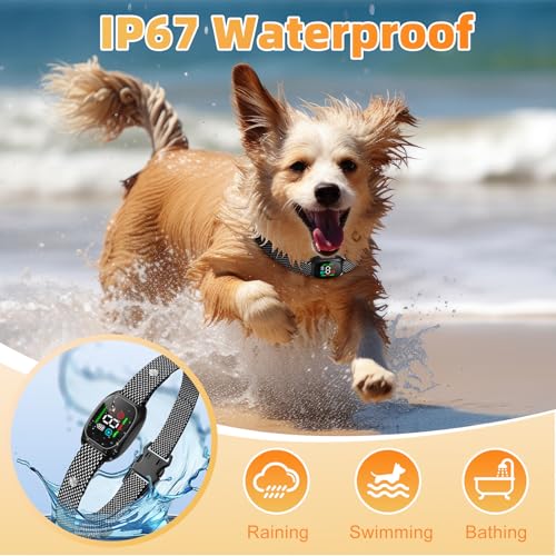 Premium Mini Petbarksafe Upgraded Hundehalsband für Collarantibarking Große und Kleine Hunde Aller Größen (mini)