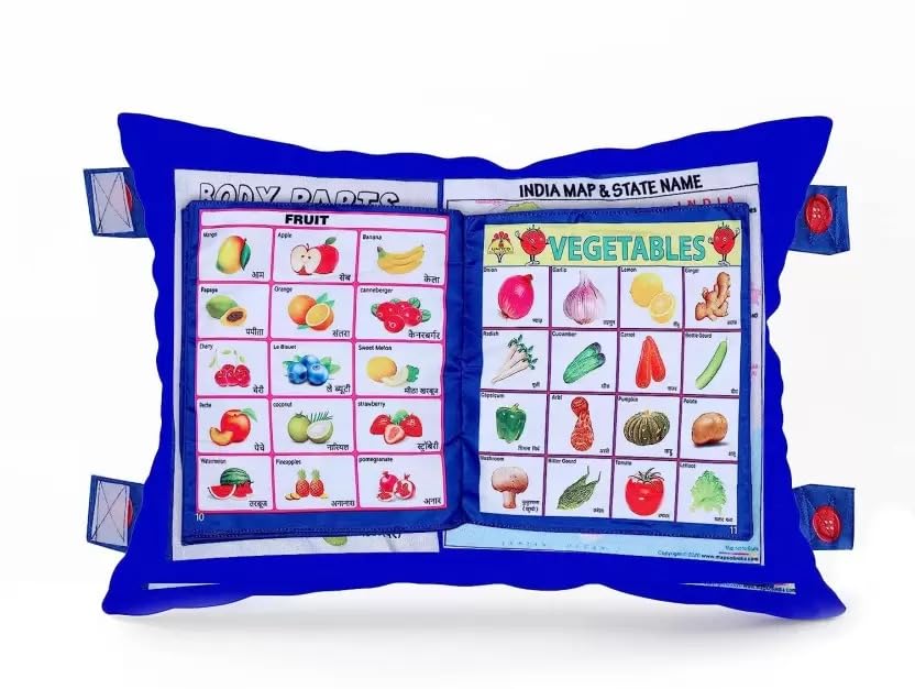 RENEVA LIGHTING Learning Pillow Cloth Book with English & Hindi Cushion Cotton Books for Kids Baby Children(Multicolor, 1 Count) (Pink) (B0DD4Y4VQR) Amazon Price History, Amazon Price Tracker