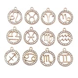 ARTISAMILY 24pcs 12 Zodiac Constellation Rhinestone Charms Pendants Crystal Constellation Necklace Pendants Light Gold Alloy Metal Bracelet Keychain Charms 18x21mm for Bag Jewelry Making