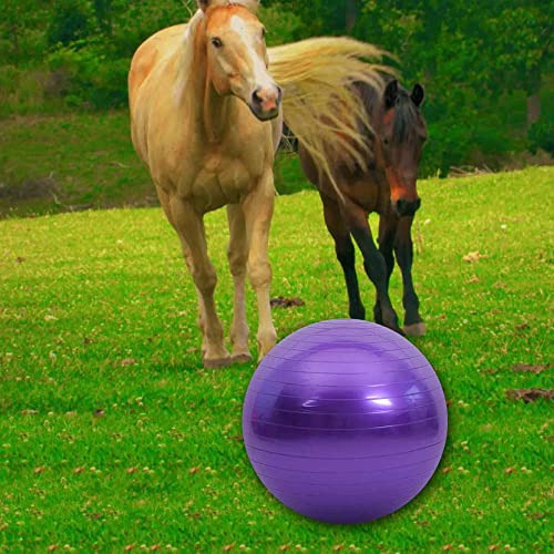 Chyesong Pferdeball-Trainingsspielzeug, Anti-Burst-Pferde-Übungsball mit Inflator-Pumpe für Pferd, Lamm, Ziege, Unterhaltungsspielzeug Ball (55,9 cm, lila), 55,9 cm