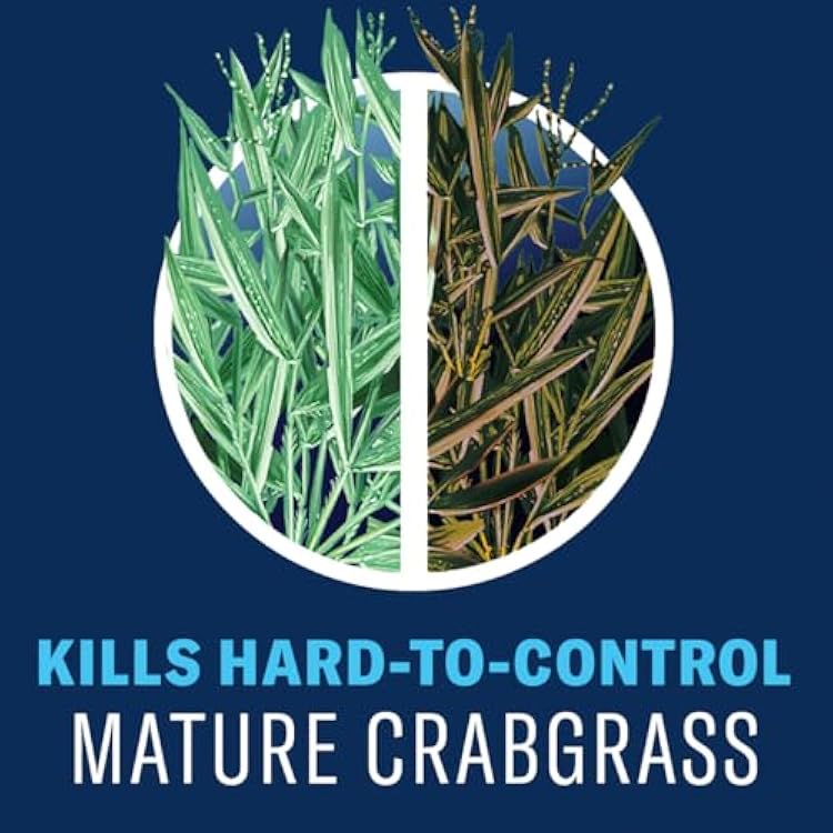 BioAdvanced All-in-One Lawn Weed & Crabgrass Killer, Concentrate, 32 oz
