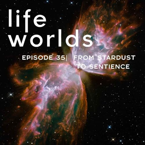 35. From Stardust To Sentience: Astrobiology & Life in the Cosmos &ndash; with Adam Frank