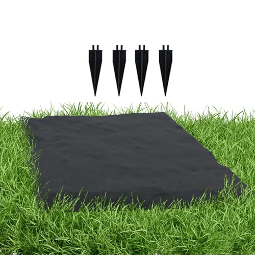 Pas japonais jardin pour sublimer le sentier de votre cour arrière