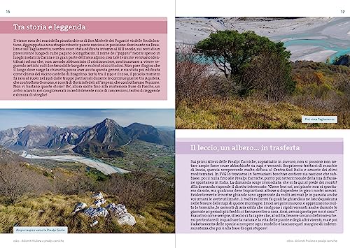 Dolomiti Friulane E Prealpi Carniche. 35 Escursioni Sulle Montagne Del Friuli Occidentale - 3