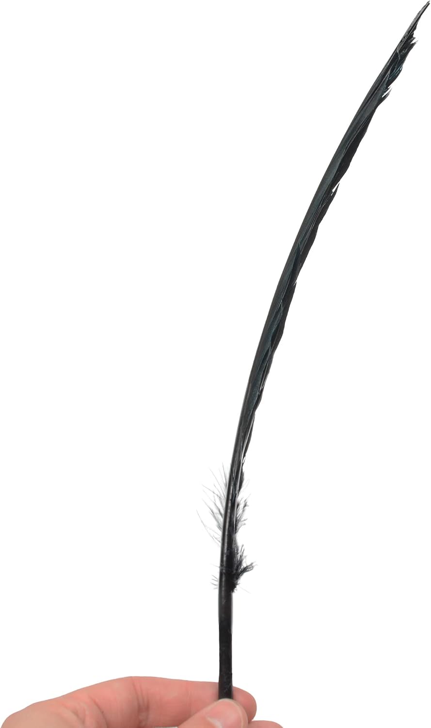 Handy Lidy 20pcs 10-12" Turkey Feather Round Wing Quill for DIY Art Accessories Halloween Party Decoration Wedding Costumes-Black