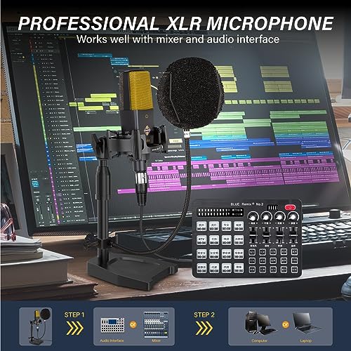 Proar C414 Xlr Podcast Microphone Professional Cardioid Studio Condenser Microphone 25Mm Large Diaphragm Computer Pc Gaming Mic Kit thumb #3