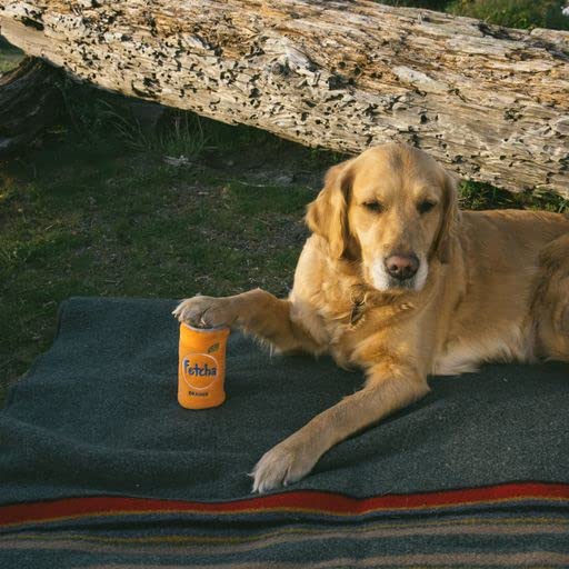 ZippyPaws - Squeakie Can, Stuffing Squeaker Plush Beverage Dog Toy - Fetcha, Multicolours - Image 3
