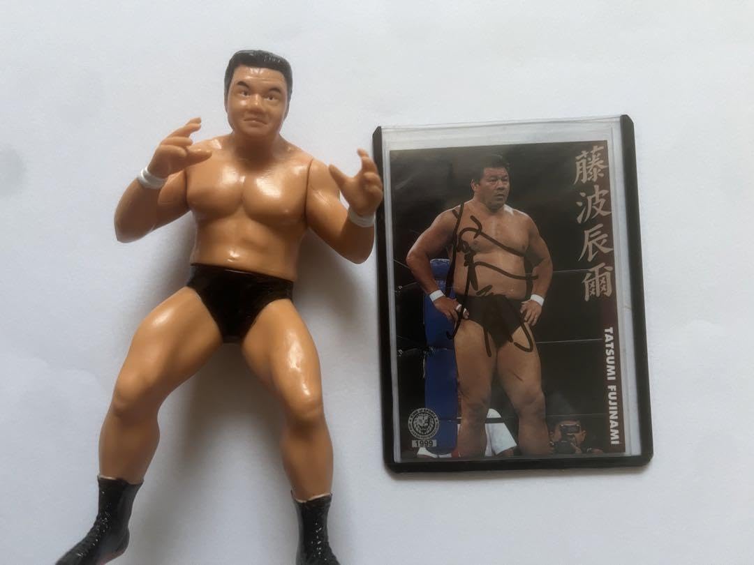 Amazon.co.jp: プロレス 藤波辰巳選手 証明付き 直筆サインカード 