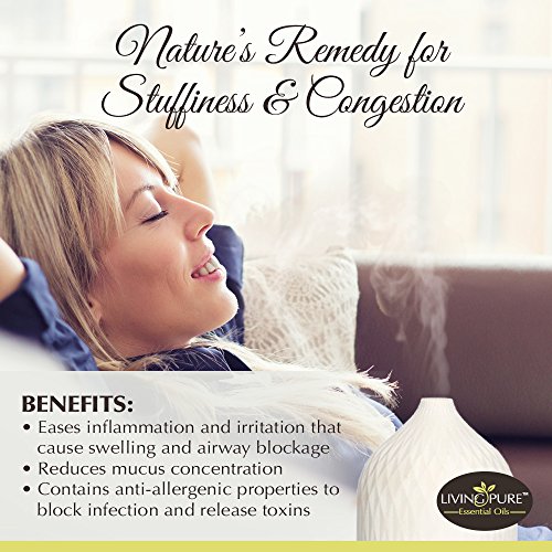 #1 Respiratory Essential Oil & Sinus Relief Blend - Supports Allergy Relief, Breathing, Congestion Relief, & Respiratory Function - 100% Organic Therapeutic & Aromatherapy Grade - 15Ml #TOP2