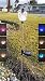 Set of 2 Clear Acrylic Rooster Solar Yard Stick Color Change Light