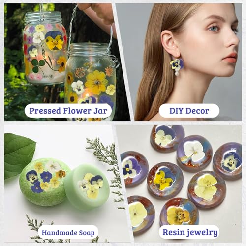 50 Piezas Flores Naturales Secas para Decoración miniatura 5