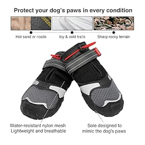 Kurgo Blaze Cross Dog Shoes - Winter Boots for Dogs, All Season Paw Protectors - for Hot Pavement and Snow - Water Resistant, Reflective, No Slip - Includes 2 Shoes - Chili Red/Black - XL Kurgo Blaze Cross Dog Shoes Winter Boots for Dogs All Season Paw Protectors for Hot Pavement and Snow Water Resistant Reflective No Slip Includes 2 Shoes Chili RedBlack XL