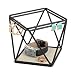 Umbra 299480 – 040 Prisma Moderno, Soporte de Joyas y Almacenamiento, Revestido...