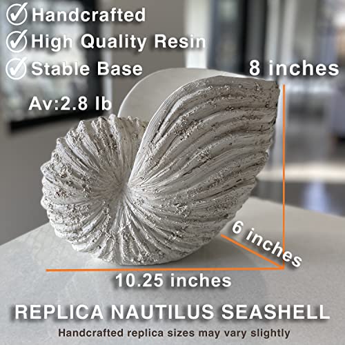 Huey House Nautilus Shell Sculpture - Replica Beach Themed Ocean Decor for Home - Rustic White Resin 10¼" x 6" x 8" Crafted Coastal Seashell Shelf Decor Gift-Boxed - Image 3