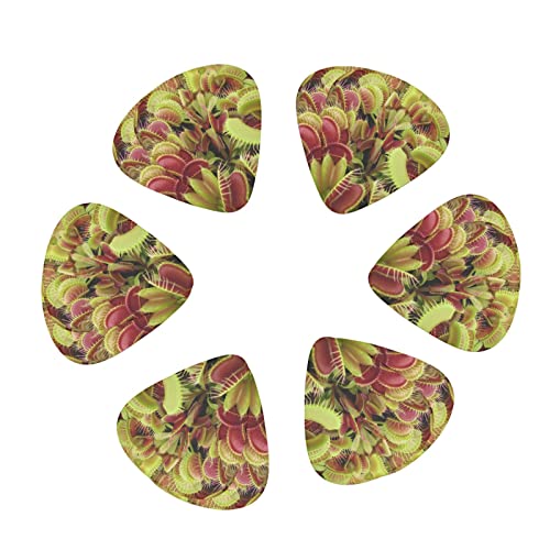 Médiators de guitare 12-Pack Médiators de plantes carnivores pour guitare électrique Guitare acoustique Diverses… - Les Beatles, Paul McCartney, John Lennon, RIngo Starr, George Harrison Médiators de guitare 12-Pack Médiators de plantes carnivores pour guitare électrique Guitare acoustique Diverses…