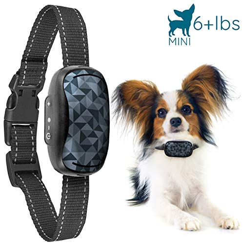 altam bark collar