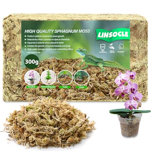 LINSOCLE 300g Tourbe de Sphaigne pour Plantes - Substrat Adapté à Monstera et Orchidées - Bon Terreau Intérieur Professionnel