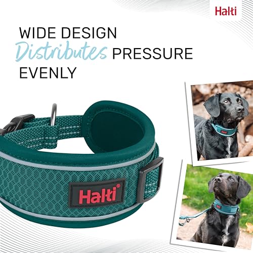 Image of Halti Anatomy Dog Collar | Size L, Teal | Wide Design Collar for Pressure Relief | Padded, Reflective & Adjustable | Matching Leash & Harness | For Large Dogs