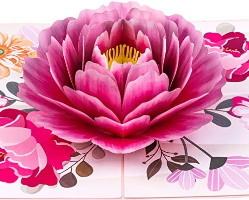 TRUANCE Pop Up Card, Greeting Card, Pink Peony Flower, For Mothers Days, Fathers Day, Anniversary Card, Birthday Card, Love Card, Thank You Cards All Occasions