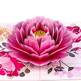 TRUANCE Pop Up Card, Greeting Card, Pink Peony Flower, For Mothers Days, Fathers Day, Anniversary Ca