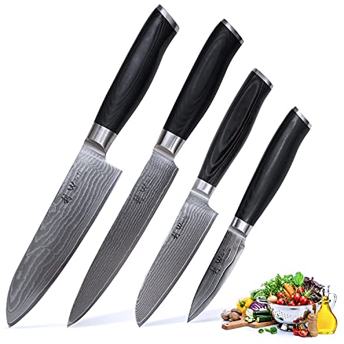 Wakoli Mikata 4-Pcs Damascus Knife Set Made Of 67 Layers Japanese Damascus Steel With Vg10 Core I Professional Kitchen Knives, Chef Knife Set With Micarta Handle #TOP7