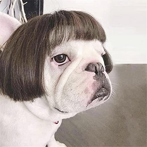 Pet Wigs - Image 3