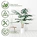 CROSOFMI Artificial Monstera Deliciosa Plant 37
