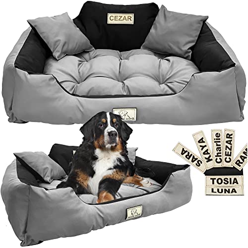 EDANTI Cuccia per cani e gatti, personalizzabile, divano per cani con nome L, XL, per cani di taglia media e piccola (75 x 65 cm, grigio)