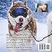 Discover Siber Sled Dogs: Siber Sled Dogs