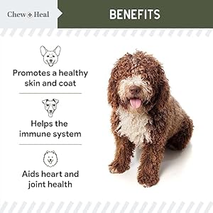 Pure-Cod-Liver-Oil-for-Dogs-16-oz-Contains-Omega-3-Omega-6-Vitamin-A-and-Vitamin-D-to-Reduce-Itching-and-Promote-Skin-and-Coat-Heart-Joint-and-Immune-Health-Pump-Cap-Bottle - Cucciolini Doodles   Pure-Cod-Liver-Oil-for-Dogs-16-oz-Contains-Omega-3-Omega-6-Vitamin-A-and-Vitamin-D-to-Reduce-Itching-and-Promote-Skin-and-Coat-Heart-Joint-and-Immune-Health-Pump-Cap-Bottle