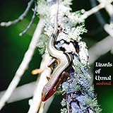 An Unlikely Camping Spot