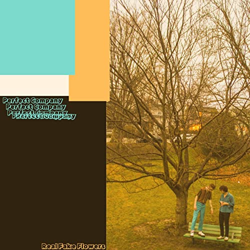 Perfect Company von Real Fake Flowers bei Amazon Music Unlimited