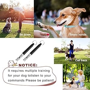 Dog whistle 2 pack dog whistle to stop barking neighbors dog adjustable ultrasonic silent dog whistle professional recall dog training whistles with lanyard black+white   cucciolini doodles