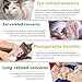 Natürliche Antibiotika für Katzen,60ml Katzen-Antibiotika-Cat Multivitamin ist antibakterielle,unterstützt das Immunsystem und Katzen Allergie Relief,Gesundheit liefert Katzen Antibiotika