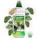 Produktbild Purgrün® Calathea-Dünger 1 Liter  Schnell wirksame mineralische Rezeptur  Premium-Flüssigdünger mit Spurennährstoffen  NPK 7+3+6  Stärkt die Widerstandskraft  Für eine intensive Blattfärbung