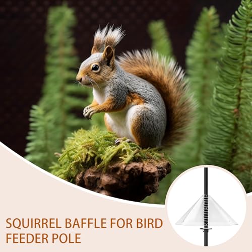 Stop aux écureuils avec ce baffle pour écureuil résistant aux intempéries pour jardin - 4