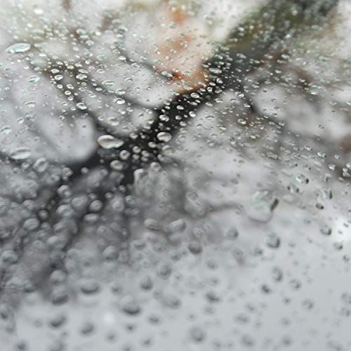 Rain by Two Shakes of a Lamb's Tail on Amazon Music