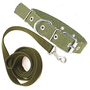 SENAPATI Neck Dog Collar Belt (32 Mm) And Leash Set (Green Color, Waterproof, Medium, Leash Size 1.5M-2M)