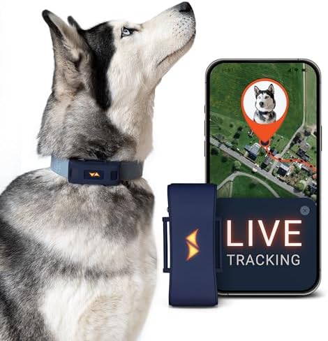 PAJ GPS Tracker für Hunde - 4G - Weglaufalarme + weltweite Live-O...
