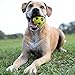 Nerf Dog Bash Ball Dog Toy with Interactive LED, Lightweight, Durable and Water Resistant, 3.5 Inches, for Medium/Large Breeds, Single Unit, Green