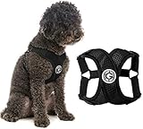 Gooby Comfort X Step in Harness - Black, Small - No Pull Small Dog Harness Patented Choke-Free X Frame - Perfect on The Go Dog Harness for Medium Dogs No Pull or Small Dogs for Indoor and Outdoor Use