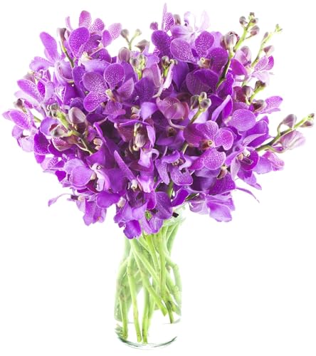 Image of KaBloom-20 Purple orchid Bouquet,Flowers for Valentine, Mother's Day