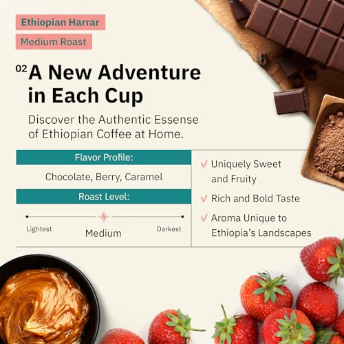 Café Molido Medio Torrefacto Orgánico de Etiopía 12 oz miniatura 3