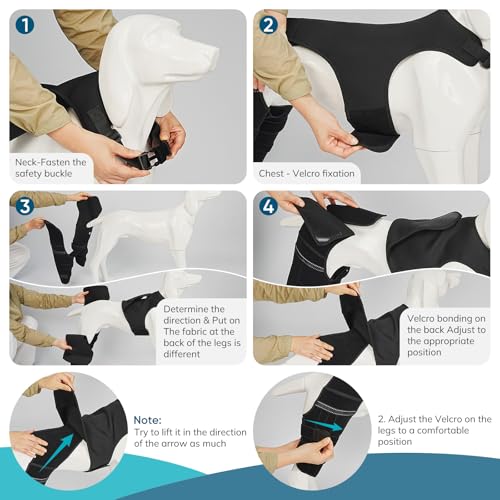GoGoPaw Adjustable Dog Knee Brace for ACL Tear and Arthritis Recovery - Dual Hind Leg Support with Harness Connection - Orthopedic Leg Wrap for Joint Stability and Pain Relief in Dog ((XX-Large) by GoGoPaw - Image 5