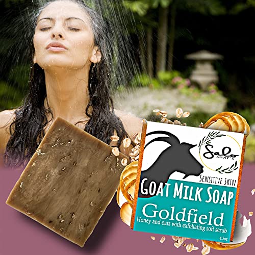 Salo's Goat Milk Oatmeal Honey Soap Bar - Goat Milk Bar Soap With Milk And Honey Soap Bar For Women, Goats Milk Soap For Sensitive Skin, A Gentle Oatmeal And Honey Soap Bar #TOP5