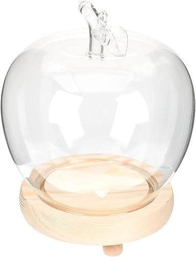 NOLITOY Cúpula de cristal en forma de manzana con luces base de madera tarro de terrario cubierta de flores eternas soporte de adorno de Navidad