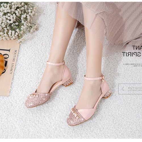 AOQUNFS Girls Latin Ballroom Dance Shoes Sequin Mary Jane Low Heels Wedding Party Dress Shoes,DS-89684