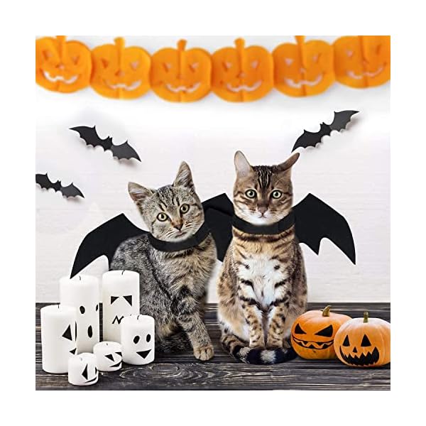 Pet cat costume halloween bat wings pet costumes pet apparel for small dogs and cats, collar cosplay bat costume - image 12