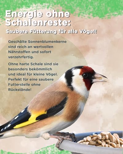Futterbauer 10 kg Geschälte Sonnenblumenkerne für Vögel, 100% Natur, Nährstoffreiche Energiequelle für Wildvögel, Ohne Schalen & Abfall, Ideal für Futterstellen, Frisch & Hochwertig, Ernte 2025