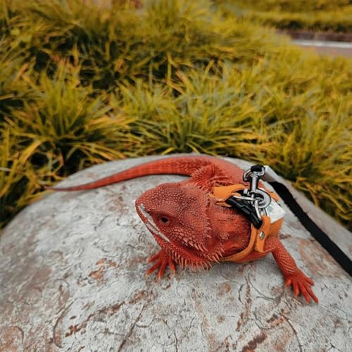 Arnés de dragón barbudo chaleco para caminar reptiles correa ajustable animales pequeños 6